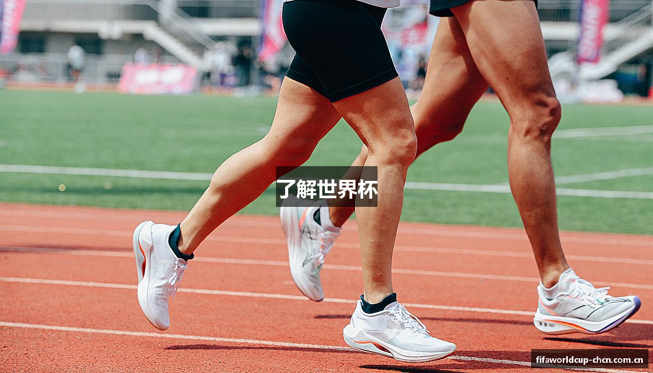 了解世界杯